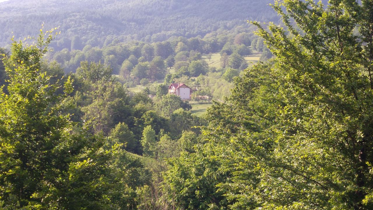 Casa Din Piatra Hotel Poiana  Kültér fotó
