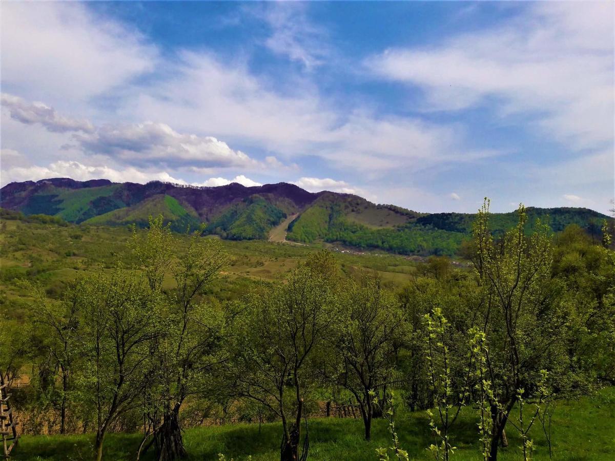 Casa Din Piatra Hotel Poiana  Kültér fotó