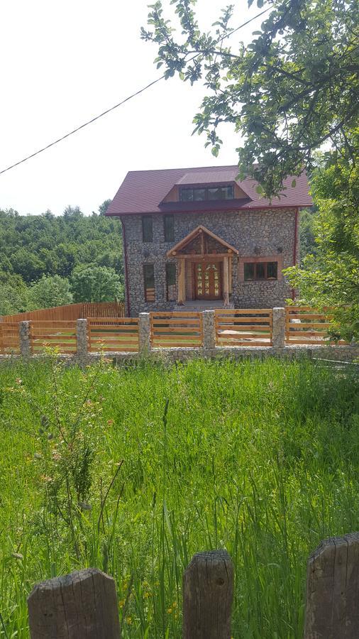 Casa Din Piatra Hotel Poiana  Kültér fotó