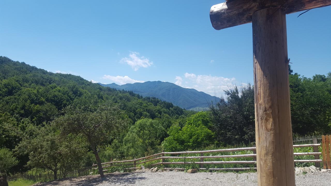 Casa Din Piatra Hotel Poiana  Kültér fotó
