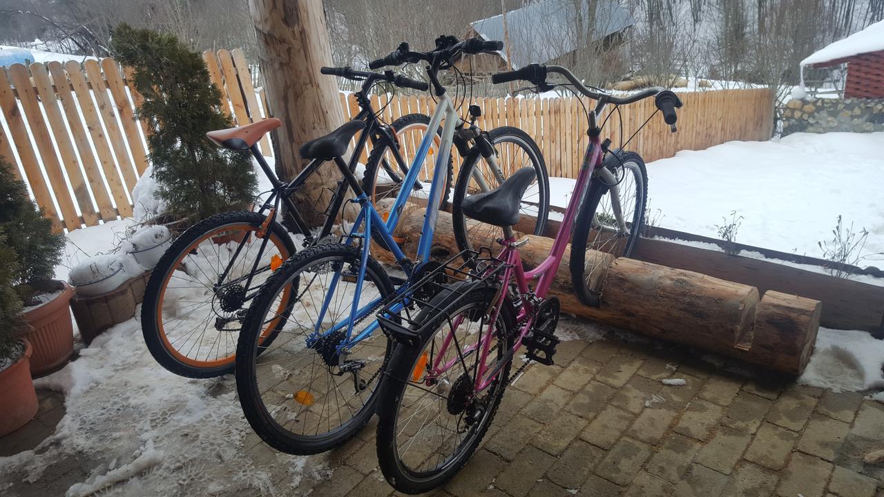 Casa Din Piatra Hotel Poiana  Kültér fotó